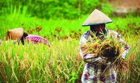 BMM 014 – Perancangan Berkesan Perniagaan Asas Tani