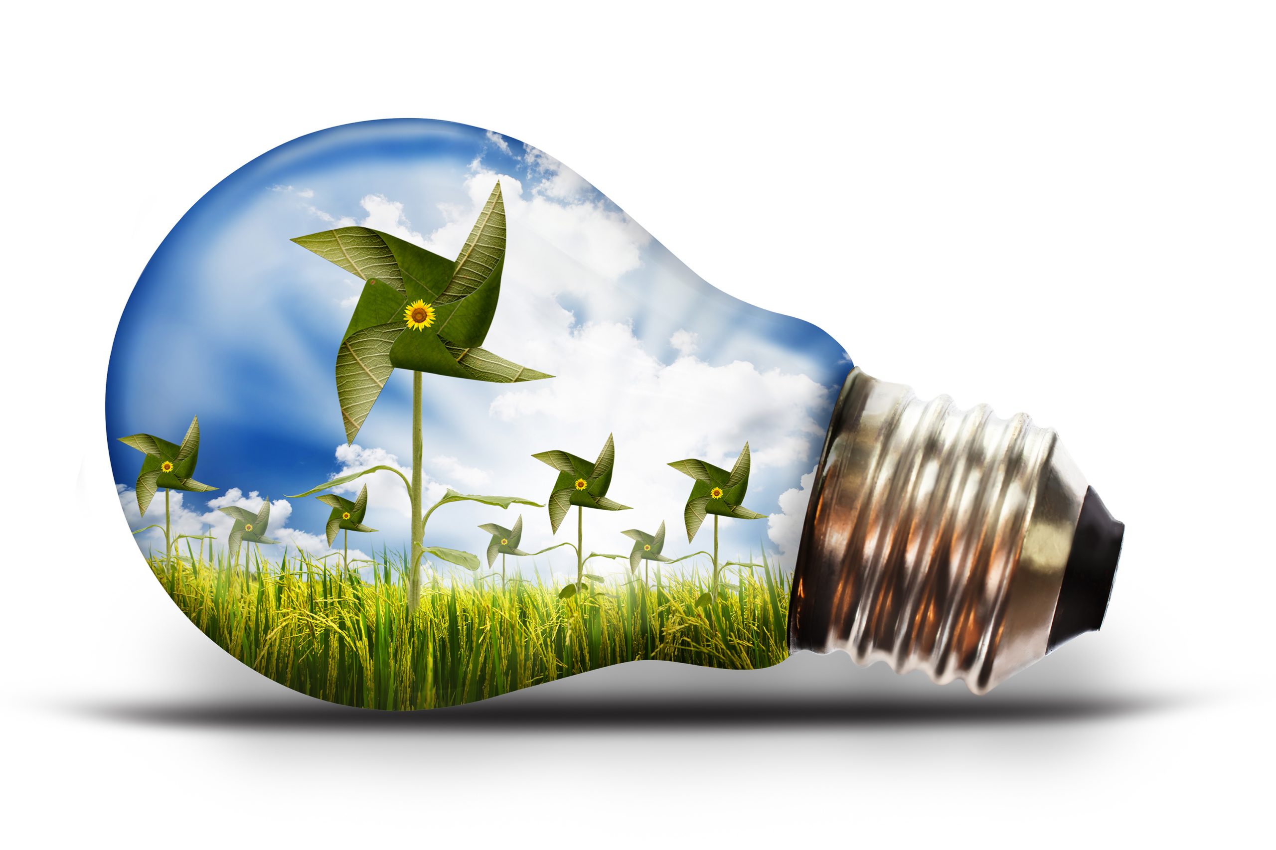HSE 006- Environmental Sustainability and Social Impact